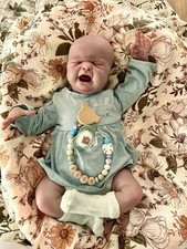 Reborn baby gebraucht kaufen  Nienburg