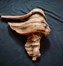Pine knot wood for sale  Brookings