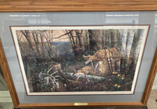 Michael sieve oak for sale  Shrewsbury