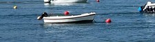 Fishing boat day for sale  TEIGNMOUTH