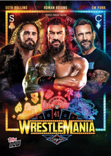 Wwe panini topps usato  Bari