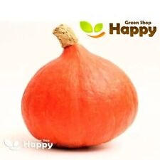 Vegetable squash seeds for sale  DONCASTER