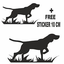 Adesivo pointer cane usato  Massa di Somma