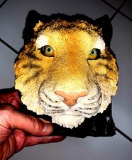 Beautiful tiger face for sale  Naples