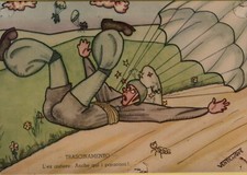 paracadutismo usato paracadutismo usato Oliveto Lario