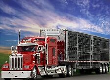 1/64 DCP KENWORTH W900L com 86" Studio Sleeper & Wilson Tri Axle Cattle Trl comprar usado  Enviando para Brazil