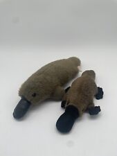 Realistic platypus plush for sale  Waterbury