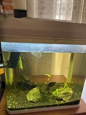 Acquario litri con usato  Piove di Sacco