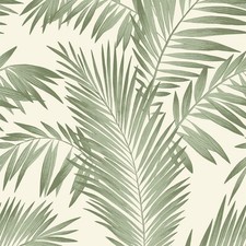 Tropical jungle arthouse for sale  ROCHDALE