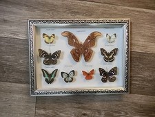 Vintage 90s framed for sale  Meriden