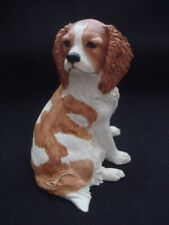 Cavalier king charles for sale  HUDDERSFIELD