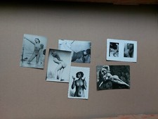 Erotiche vintage usato  Savignano sul Panaro
