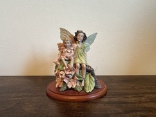 Flower fairies apple for sale  BRACKNELL