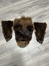 large bear rugs for sale large bear rugs for sale Hatboro