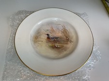 wild duck for sale wild duck for sale GLASGOW
