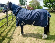 White horse combo for sale  ROTHERHAM
