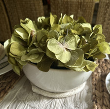 Threshold hydrangea terrarium for sale  Lynchburg