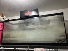75 gallon tank for sale 75 gallon tank for sale Arlington