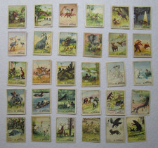Lotto figurine dell usato  Montevarchi