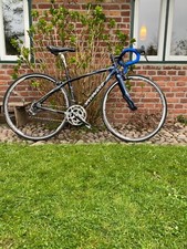 Specialized works ruby gebraucht kaufen  Hattstedt