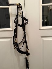 Sabro hackamore elchleder gebraucht kaufen  Diepholz