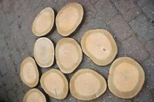 Große baumscheibe holzscheibe gebraucht kaufen  Boren