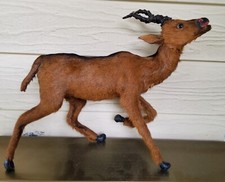 Early taxidermy goat for sale  Morrisville