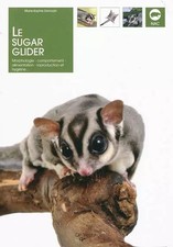 Sugar glider marie d'occasion Sugar glider marie d'occasion  France