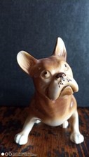 Royal dux chien d'occasion  Bourg-de-Péage