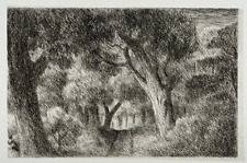 Arbres foret chemin d'occasion  Pluvigner