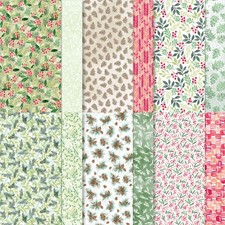 Stampin designerpapier maleris gebraucht kaufen  Nesse-Apfelstädt, Nottleben