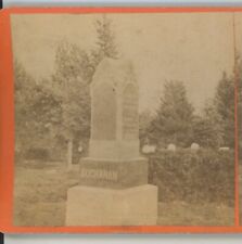Buchanan grave rock for sale  Bolton