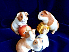 Leonardo guinea pig for sale  KING'S LYNN