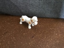 miniature saint bernard for sale miniature saint bernard for sale Kincaid