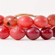 Pigeon egg red for sale  Denver