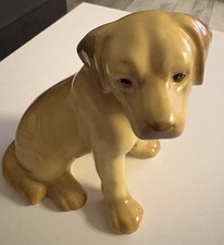 Hund porzellan labrador gebraucht kaufen  Poing