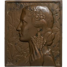 1506517 plaquette comice d'occasion  Lille-