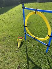 Hunde agility set gebraucht kaufen  Erftstadt