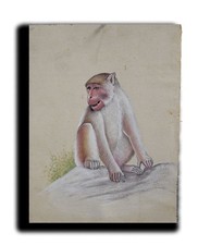 Usado, Pintura De Arte Hecha A Mano De Mono Macaco Bebé 8.25 x 6 Pulgadas "PN9192" comprar usado  Enviando para Brazil