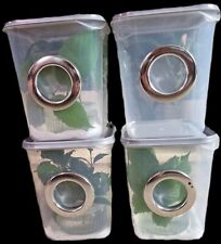 Budget insect nursery for sale  ORMSKIRK