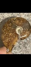 Rare ammonite fossil for sale  LOWESTOFT