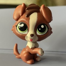 Hasbro littlest pet for sale  BRIGHTON