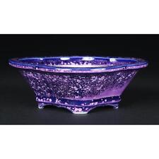 Petit pot bonsaï d'occasion Petit pot bonsaï d'occasion  Expédié en France