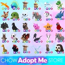 Adopt today day for sale  Beverly Hills