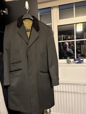 teddy boy for sale teddy boy for sale  GUILDFORD