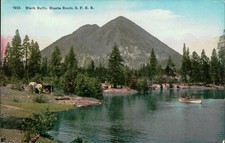 Photochrome postcard black for sale  Buffalo