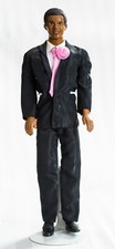 Barbie ken steven gebraucht kaufen  Lauchringen