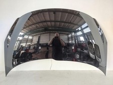 Peugeot 206 motorhaube gebraucht kaufen  Magdeburg