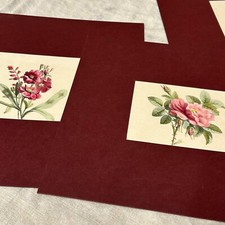 Lithographies anciennes fleurs d'occasion  Strasbourg-