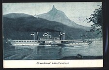 Rheindampfer rheintreue voller gebraucht kaufen  Berlin